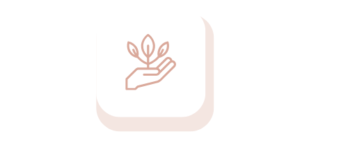 Fokus auf langfristige Gesundheit und Prävention Hand mit einem kleinen Pflanze, die neues Wachstum symbolisiert.